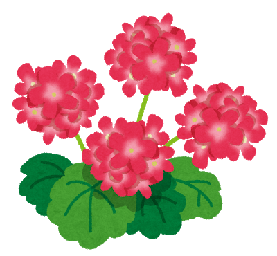 プルメリアの花
