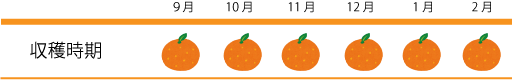 収穫時期は9月頃～2月頃