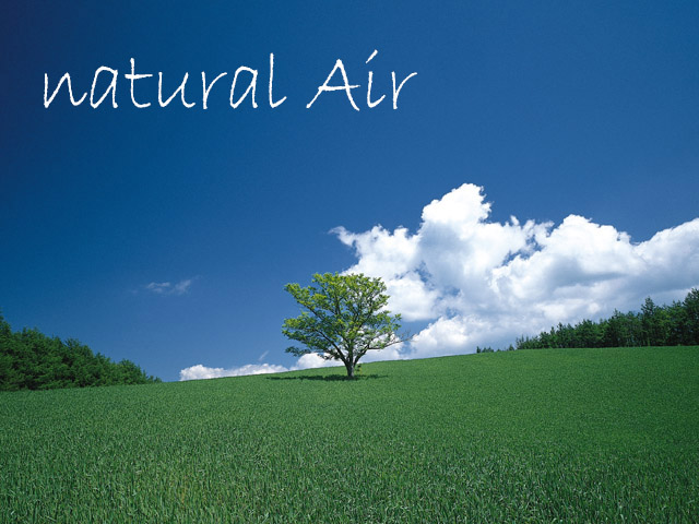 自然の空気