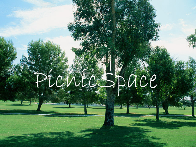 ピクニックスペース