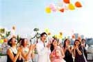 Wedding Party