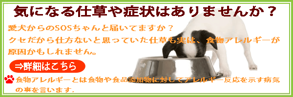 アレルギー