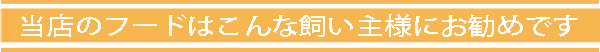 お勧め