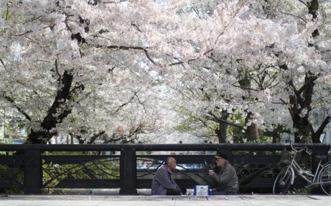 hanami