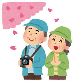 お花見の様子