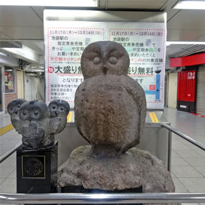 いけふくろう