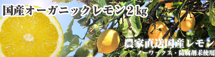 国産オーガニックレモン