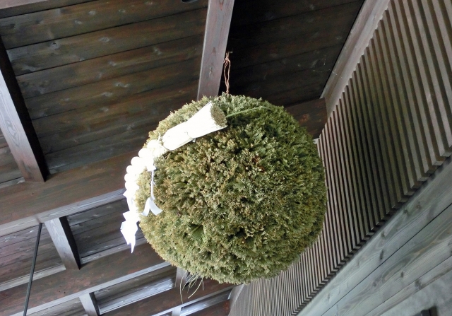 杉玉緑