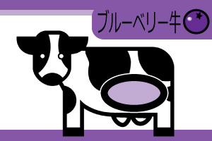 ブルーベリー牛画像