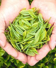 茶葉