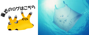 最近の海ログ