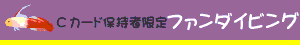 ファンダイビング