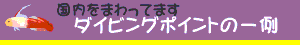ポイントの一例