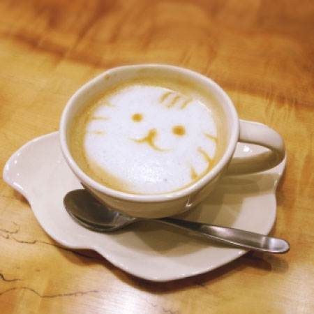 猫カフェchantilly