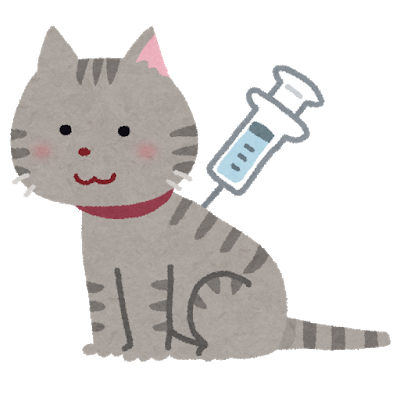 予防接種ねこ