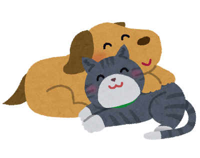 犬猫仲良し