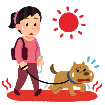 夏の散歩注意