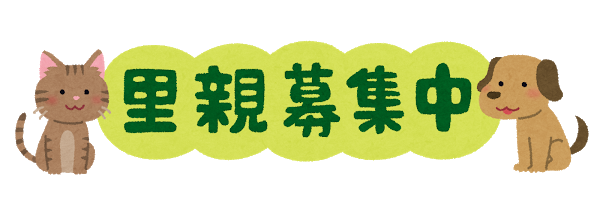 里親募集