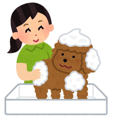 犬シャンプー