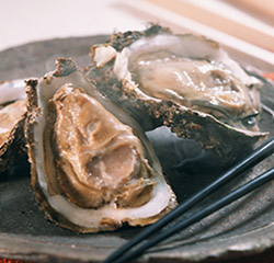 鮑