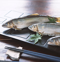 鮎