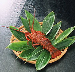 伊勢海老