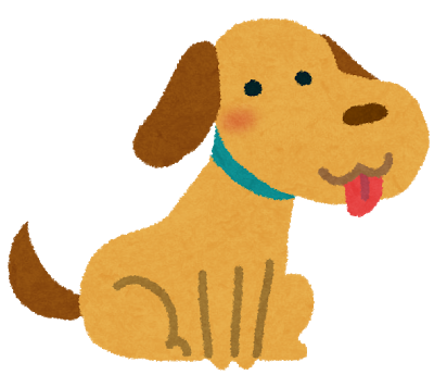 dog