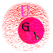 uterus_group_ロゴマーク