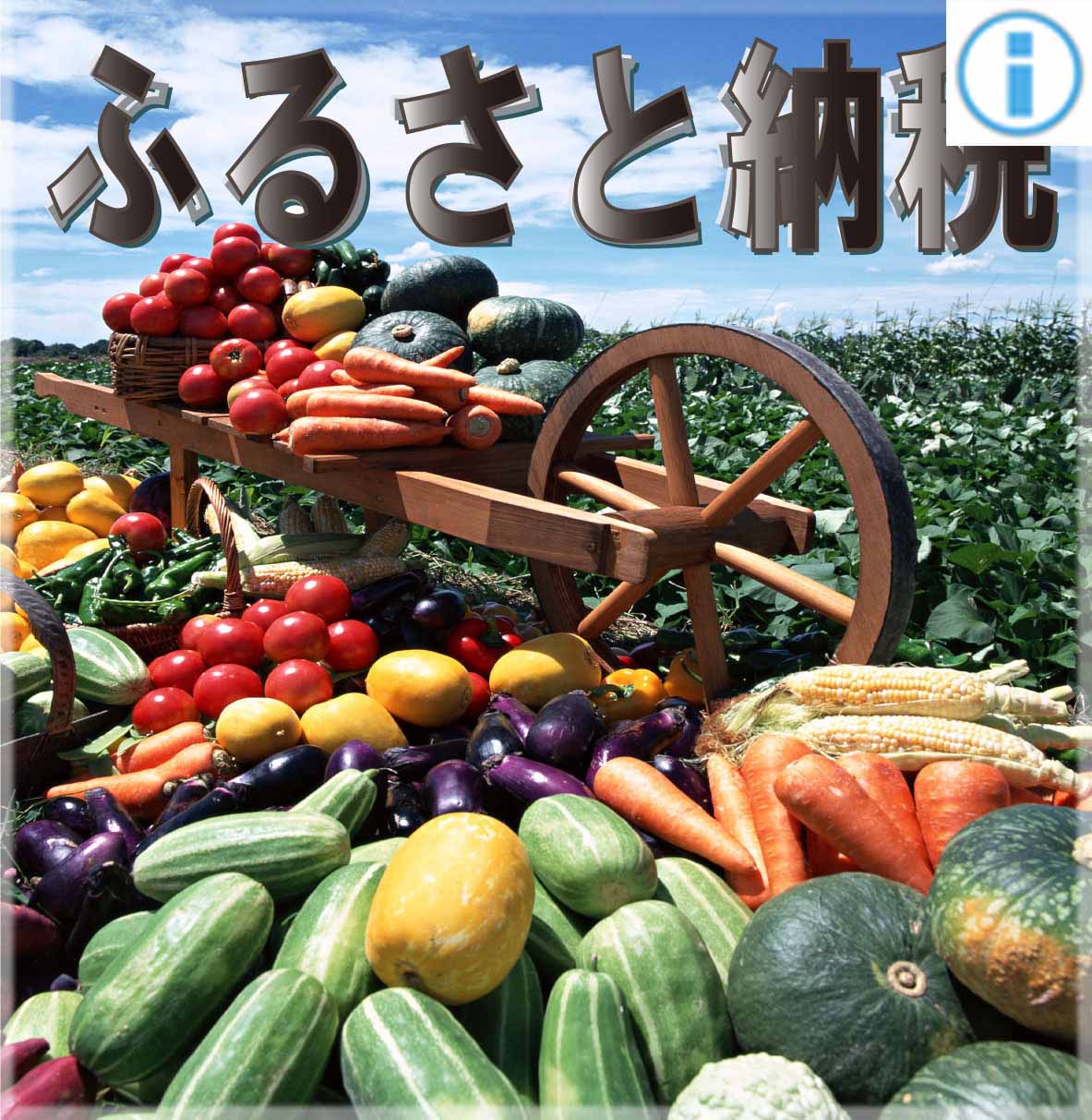 ふるさと納税
