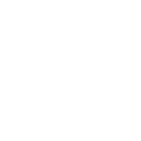 ヤシの木画像