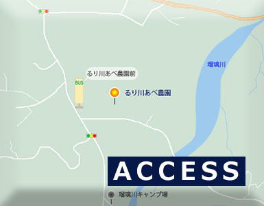 アクセス
