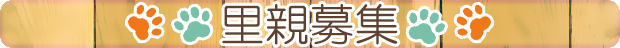 里親募集