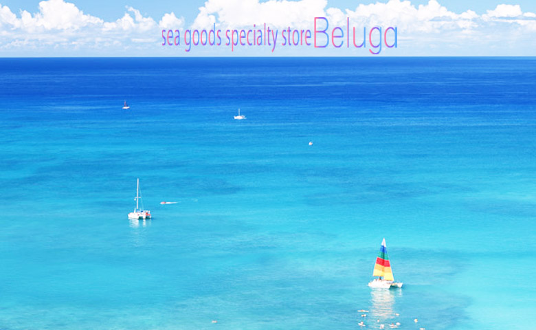 sea goods specialty store Beluga