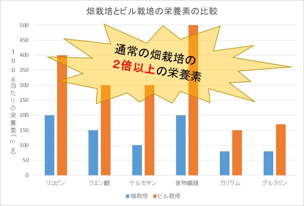 成分比較グラフ