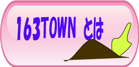 163TOWNとは