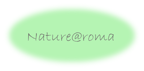 Nature@roma