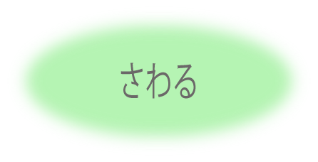 さわる