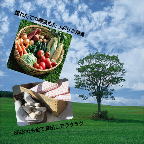 ナチュラルレストラン