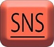 1sns