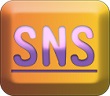 1sns