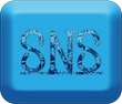 1sns