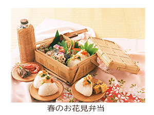 春のお花見弁当