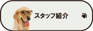 スタッフ紹介