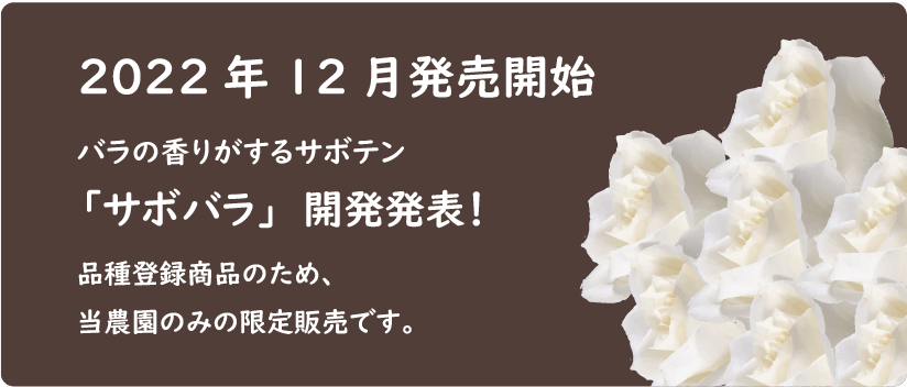 サボバラバナー