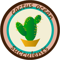 cactus ocean