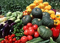 野菜
