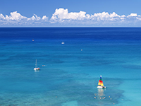 海