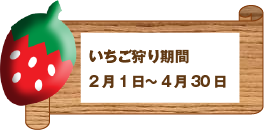 いちご狩り期間
2月1日～4月30日