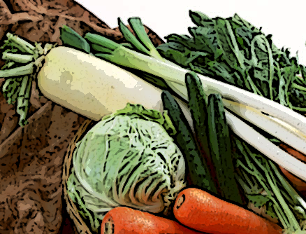 野菜画像