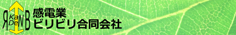 感電業ビリビリ合同会社